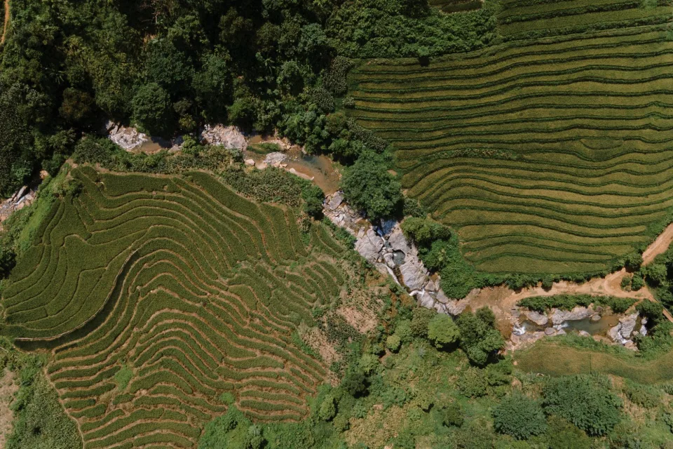 Kho gạo của Nguyễn Quốc Châu 1983